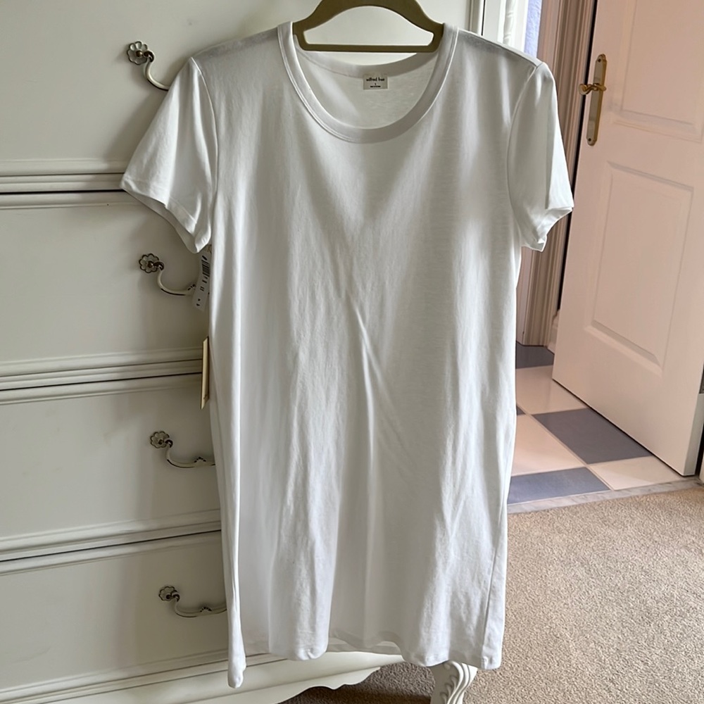 NWT Aritzia Dress